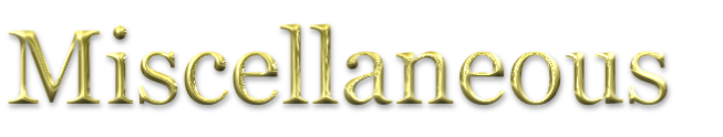 Miscellaneous
